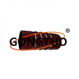 TRUCK SILICONE GG HOSE OEM:5010228308