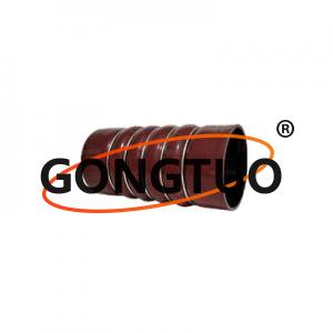 TRUCK SILICONE GG HOSE OEM:A0020946382 A0010947982